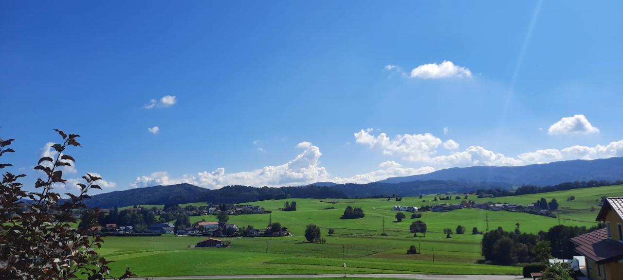 Ferienwohnung Wallersee 纽玛特-安华莱斯 外观 照片